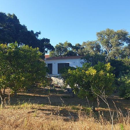 Villa Quinta De Sao Pedro à Sobreda Extérieur photo