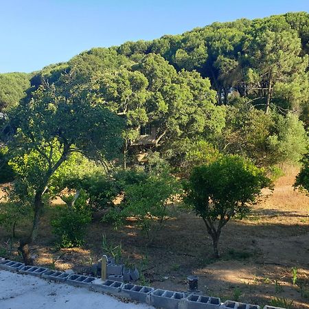 Villa Quinta De Sao Pedro à Sobreda Extérieur photo